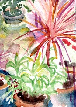 "Potted Garden" by Rosemary Penner, Madison WI - Watercolor